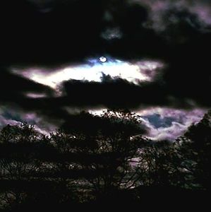 Meet your Posher, Christy